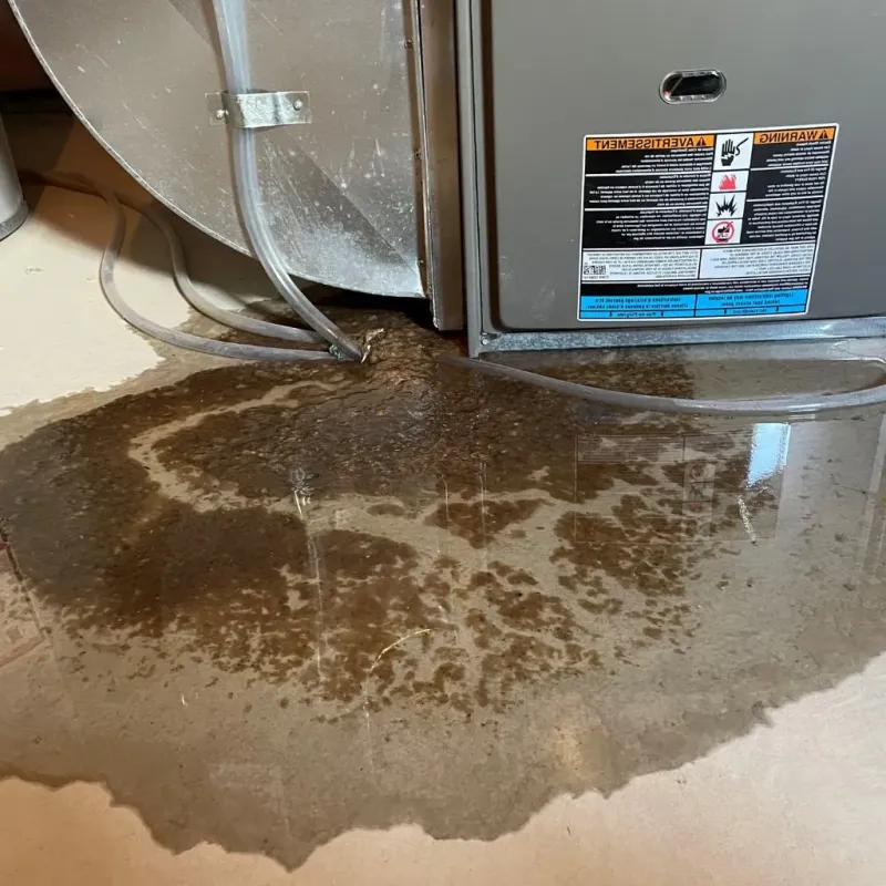 Pipe Burst and Leak Restoration in Preston, ID