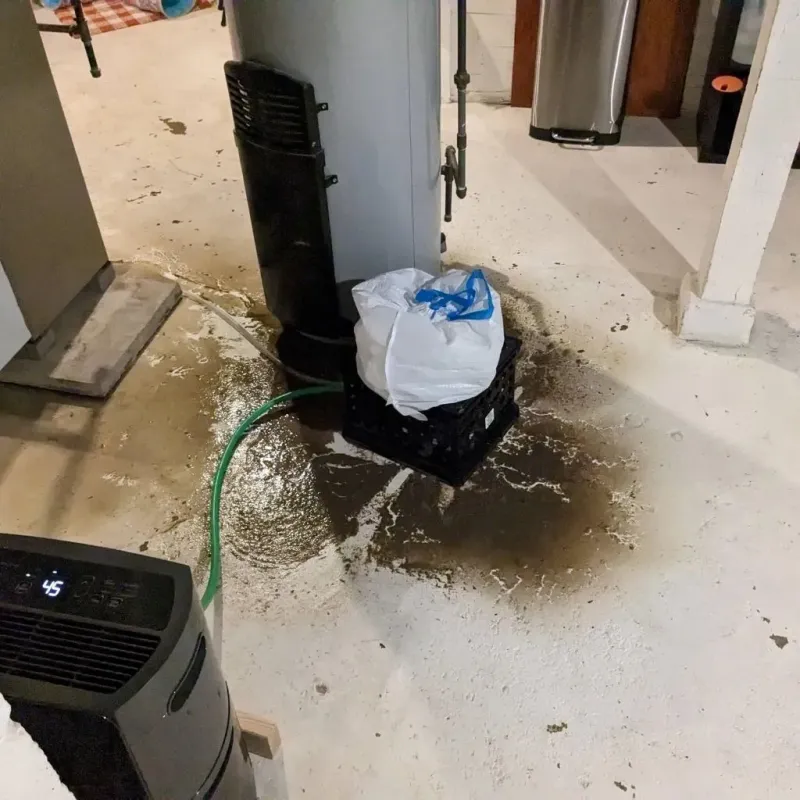 Sewage Backup Cleanup Service in Preston, ID